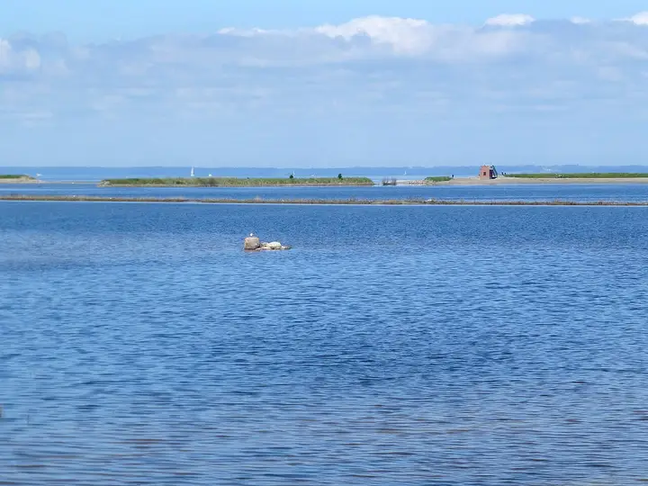 En lavvandet kystlagune med små øer